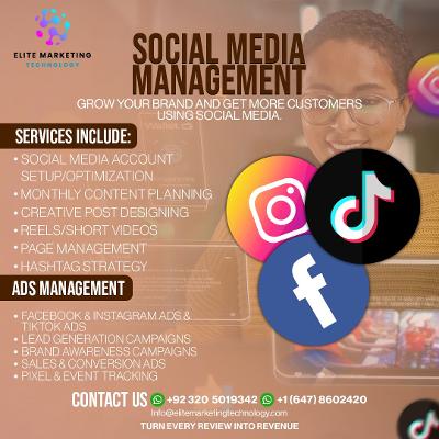 Boost Organic Traffic & Leads | Contact Us Today